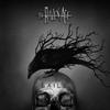 Albums de musique