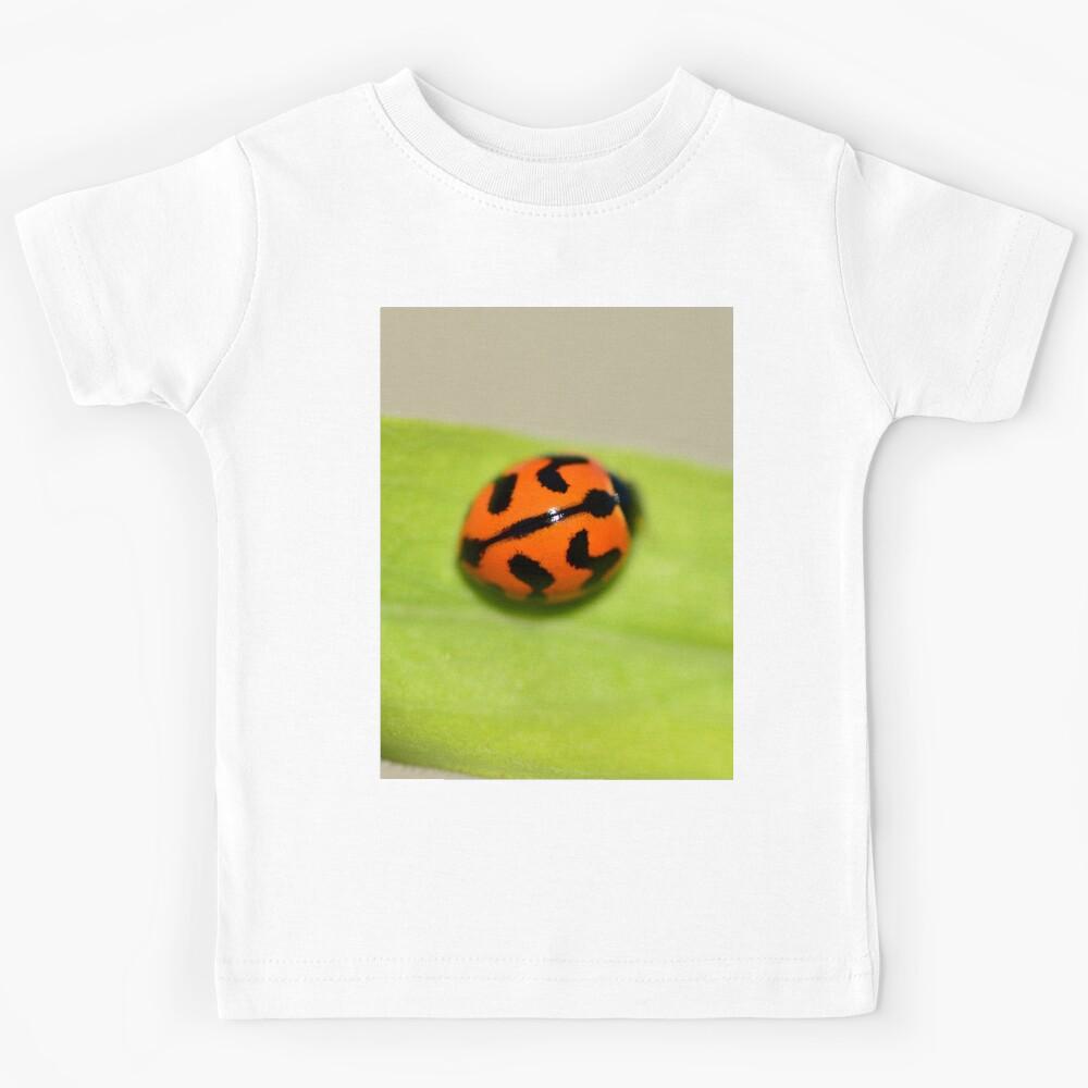 Tranverse Ladybird Kids T-Shirt 110