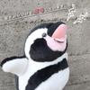 Okopun Plush Penguin (Penguin)