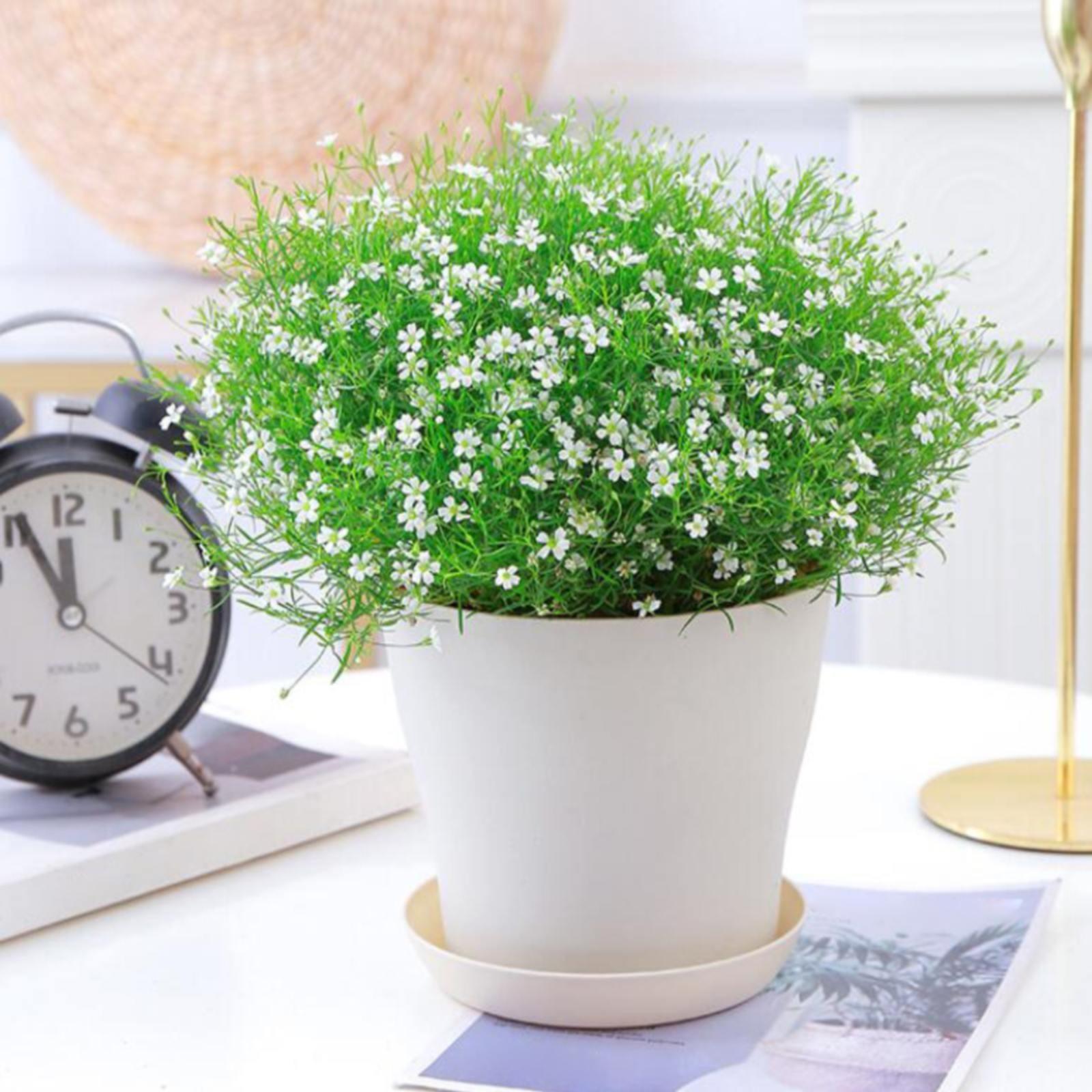 

8 шт. Открытый цветочный горшок Декор Бонсай Растения Горшки Декоративные садовые горшки Растения с блюдцем Вазы для цветов Набор B белый