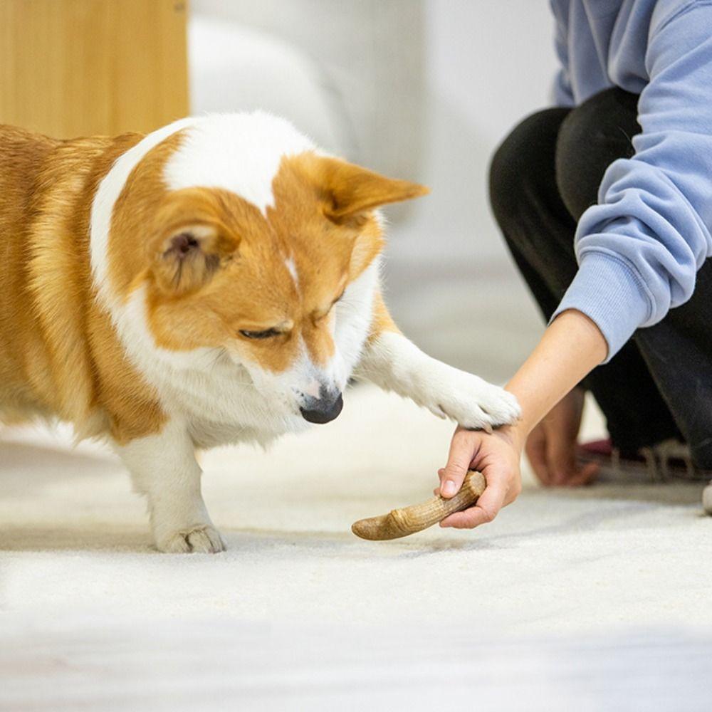 Creative Puppy Molar Toys Bone Shape Dog Interactive Toys Portable Dog Chew Stick  Pet Dental Care