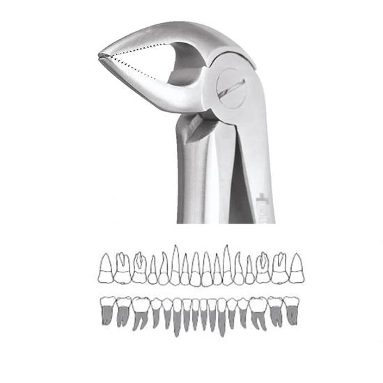 

Щипцы GDC для экстракции нижних корней - 33A Стандартные (FX33AS)