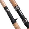 DAIWA Entry-Level Lightweight Lure Fishing Rod