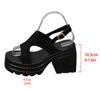 Fashion Women's Gothic Chunky Heels Sandals Summer 2025 Fashion Buckle Strap Platform Sandals Woman Thick Bottom High Heels Roman Shoes