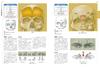 Artistic Anatomy for Artists