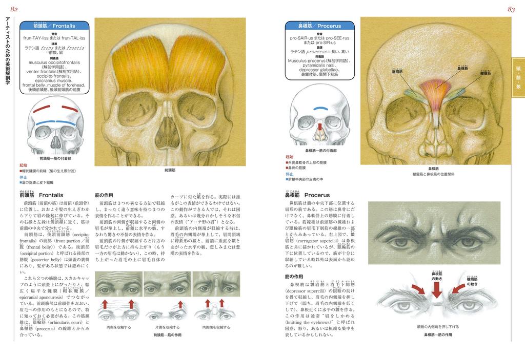 Artistic Anatomy for Artists