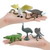 Australian Wildlife Pvc Platypus Platypus Koala Model Collection With Realistic Animal Figures For Nature Enthusiasts