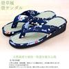 Takeharu Tatami Indigo Vegetable Color Medium Women's Japanese-Made Sandals/Slippers, Dyed, (Size 48),