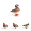 Animal Model Desktop Decor With Plastic Material For Educational Display And Bird Enthusiasts