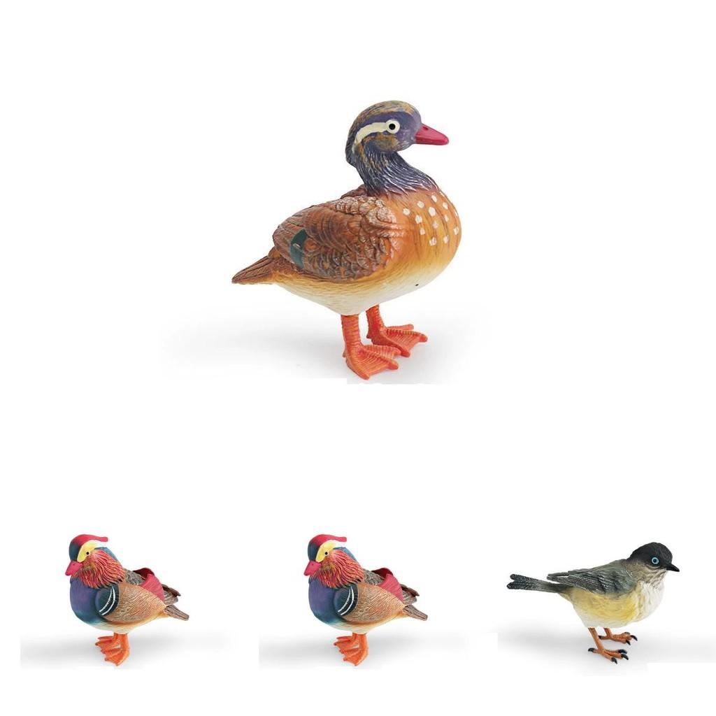 Animal Model Desktop Decor With Plastic Material For Educational Display And Bird Enthusiasts
