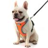 Astro Orange Dog Training Harness For Walking, Size S