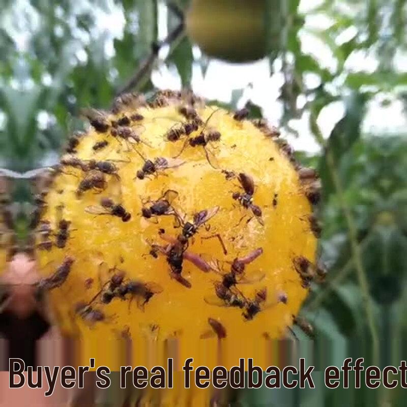 Sticky Fly and Insect Trap Ball