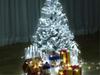 Christmas Lights 500 Led 20M Cold (30)