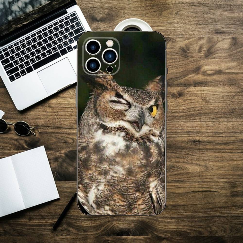 

Чехол для телефона «Милая сова» для iPhone 16,15,14,13,12,11,XS,XR,X,8,7,Pro,Max,Plus,mini Силиконовый Черный Чехол iPhoneX