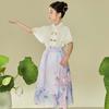 Sommer Hanfu Rock Set für Mädchen