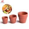 10pcs Dollhouse Mini Flowerpot Miniature Accessories Simulation Furniture Model Toys For Doll House Decoration