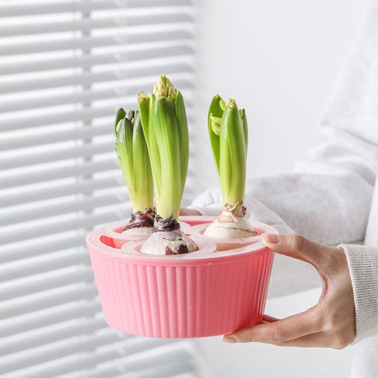 Hydroponic Bulbs Planter Pot Holes Tulip Bulbs Container Indoor Narcissus Flower with 46086 Plants Water Planting