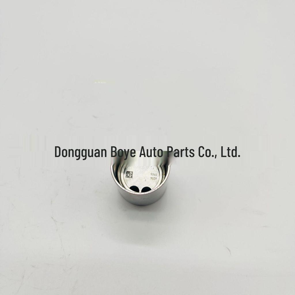 CP4 Series Oil Pump Tappet/Roller/Pulley Body