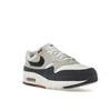 Nike Air Max 1 Obsidian Rugged Orange Women Sneakers Blue Light-Orewood-Brown Sail FD2370-110