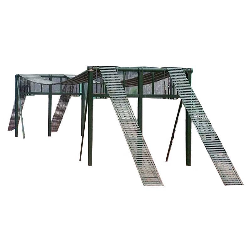 Physical Training Iron Chain Bridge