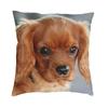 Cavalier King Charles Spaniel Luxury Pillow Cover Home Decorative Dog Animal Cushions For Sofa Double Sided Print Chair Cushion