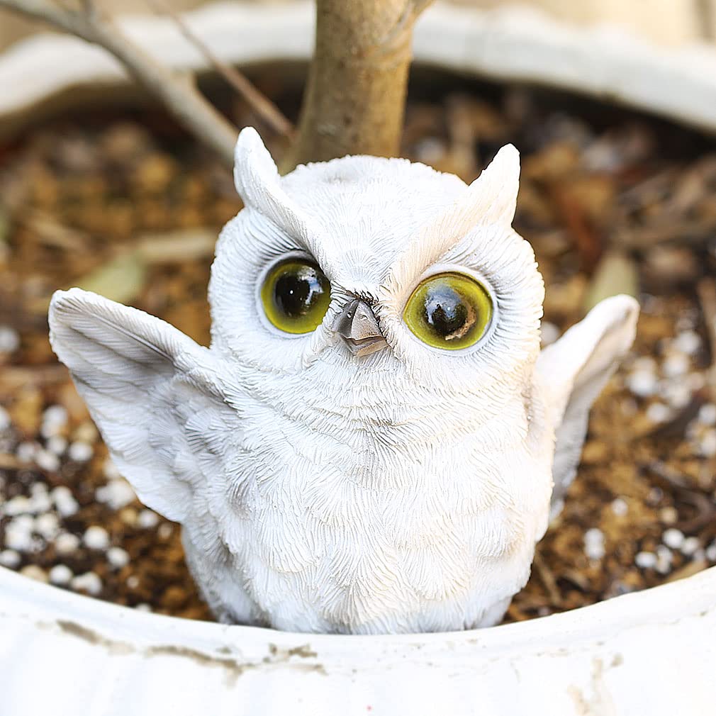 [Devalier] Mo01 Owl Figurine, Resin Owl, Perfect Gift for Birthdays (Flapping Owl Wings Lol)