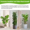 Moss Poles for Climbing Plants Monstera, Indoor Deformable Climbing Plant Stakes,Garden Trellis Plant Stick Stakes for Potted Plants Like Vine Orchid