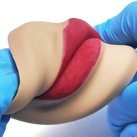 3D Forma na rty se zuby Realistický tvar Ergonomická Profesionální cvičná deska Polopermanentní Silikonová forma na tetování rtů Cvičný nástroj pro tetovací umělce