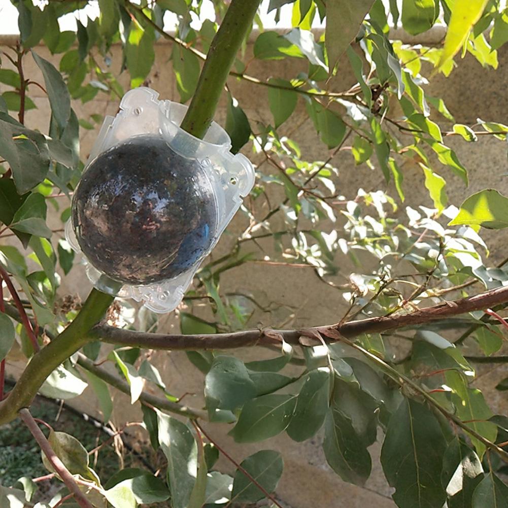 Garden Plant Rooting Device Air Layering Propagation Ball Reusable Root Growing Box with Secure Lock Clear Plant Grafting Ball