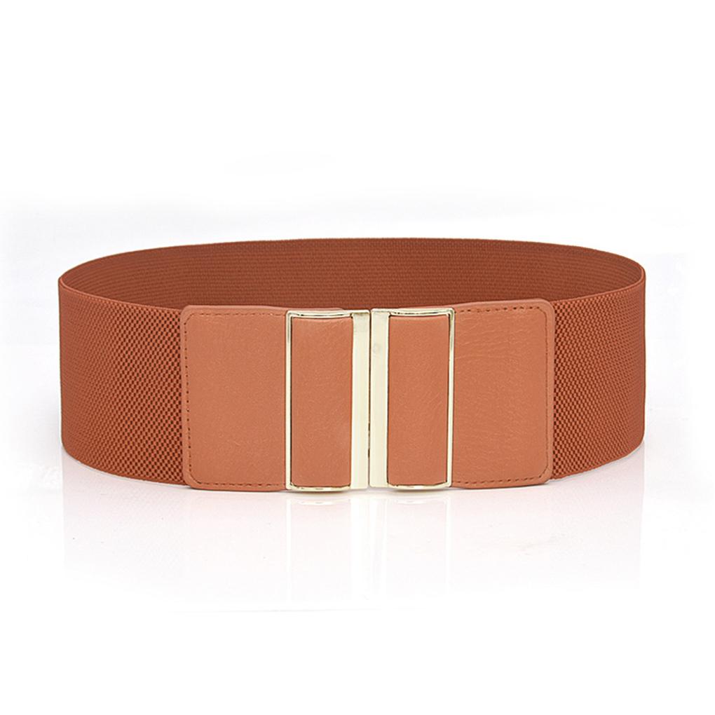 Fashion Waist Belt Elastic Ple Style Universal Leather Straps with Buckles Multicolor Ornaments Belts for Women Dresses
