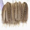Natural Pheasant Feathers for Crafts 10-15cm DIY Feather Dream Catcher Jewelry Creation Handicraft Accessories Plumes Decoration