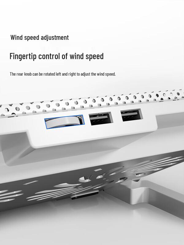 Zhuchuang Jingpin Adjustable Laptop Cooler with Stand