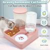 Cat Bowl Double Bowl Automatic Drinking and Feeding Dish for Water Bowl Cat Food Bowl Dog Bowl Set Feeding Device Pet Supplies