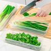 Durable PP Material Airtight Food Storage Container Home Kitchen Organizers For Organizing Scallions Ginger Garlic