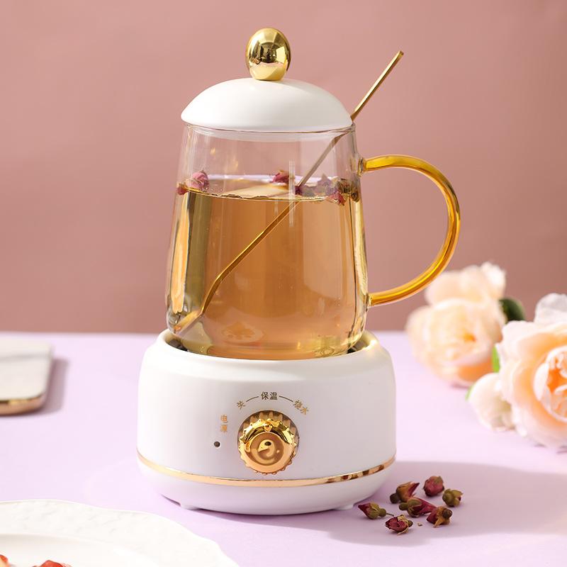 0.4-0.6L Health Pot, Office Small Tea Maker, Household Mini Health Cup, Tea Stove, Flower Boiling Tea Pot 220V