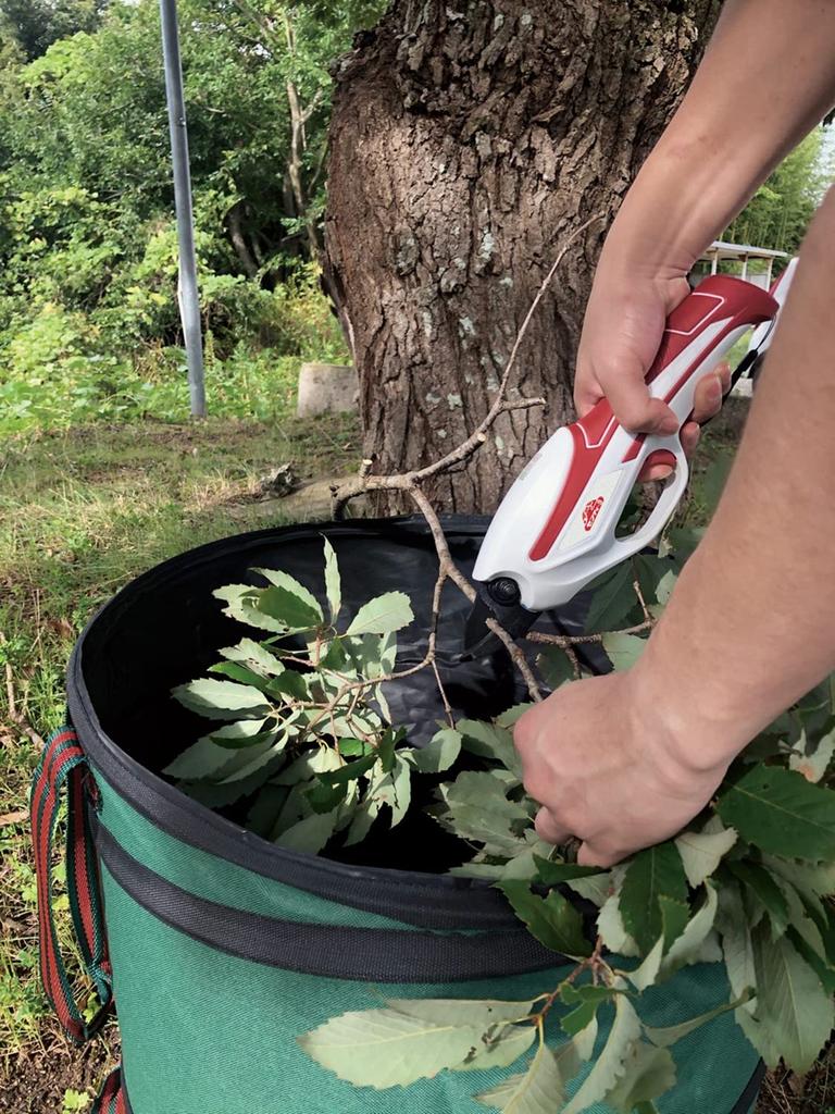 Rechargeable Pruning Shears for Garden Maximum Cutting Diameter Micro USB Cord Charging Safety-3 3.6V Trees, 10mm, SBH-1