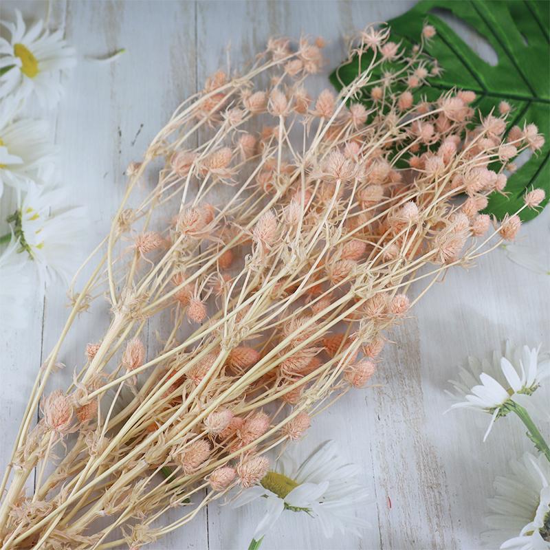 Preserved Eryngium Blue Planet Glass Dome DIY Wedding Flowers