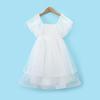 Girls' Summer Puffy Mesh Princess Dress