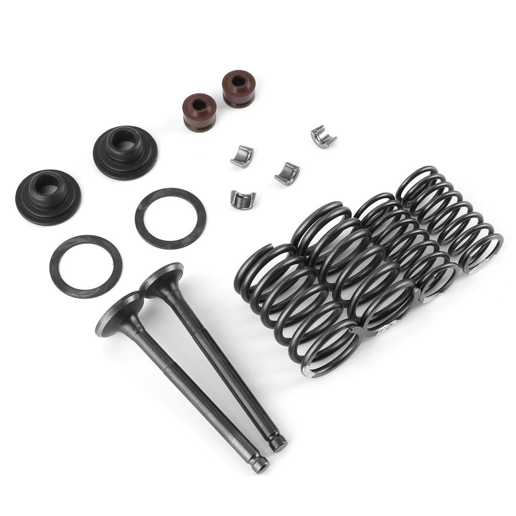 16pcs Engine Valve Spring Assembly Kit Metal Polishing Fit for GY6 50 60 80 100 125 150CC