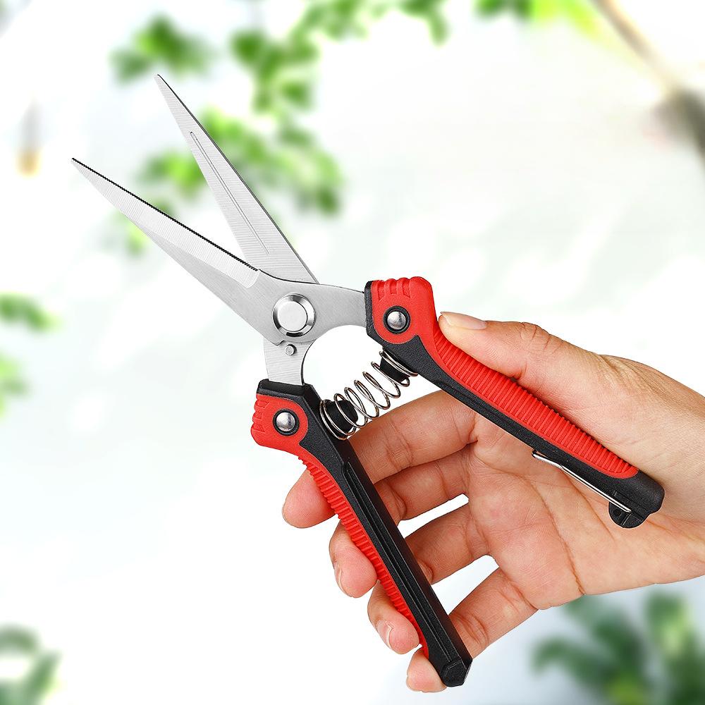 Fruit Tree Scissors Pruning Stainless Steel Pointed Fruit Picking Scissors Pruning Scissors Fruit Branch Vegetable and Fruit Scissors Floral Scissors