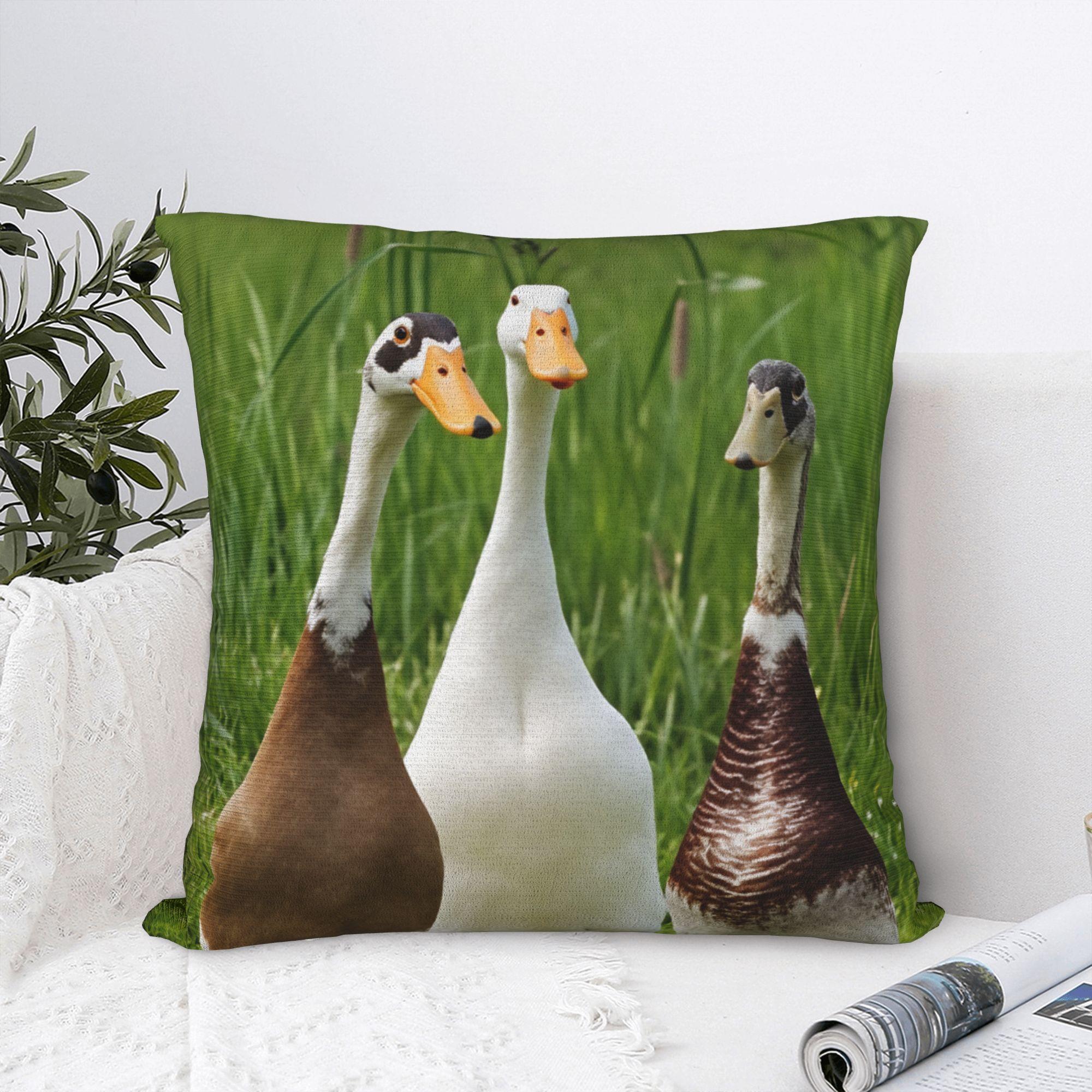 Fine Glasses Unisex Pillow Case Indian Runner Duck Comfy Pillow Cover For Sofa Bedroom Home Decor Funny Pillowcases