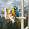 Suction Cup Parrot Rotating Stand Anti Slip Bird Window Standing Stick  Pet Interactive