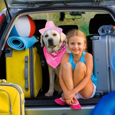 Yousheng Hunde Cowboy Kostüm Set Verstellbare Schnalle Atmungsaktiv Bequem zu Tragen Hut Bandana Schal für Kleine Mittelgroße Große Hunde Haustiere