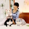 4 Styles Lifelike Cat Plush Toys Lovely Fluffy Lying Prone Ragdoll Cat Doll Warm Cozy Throw Pillow Kids Companion Home Decor