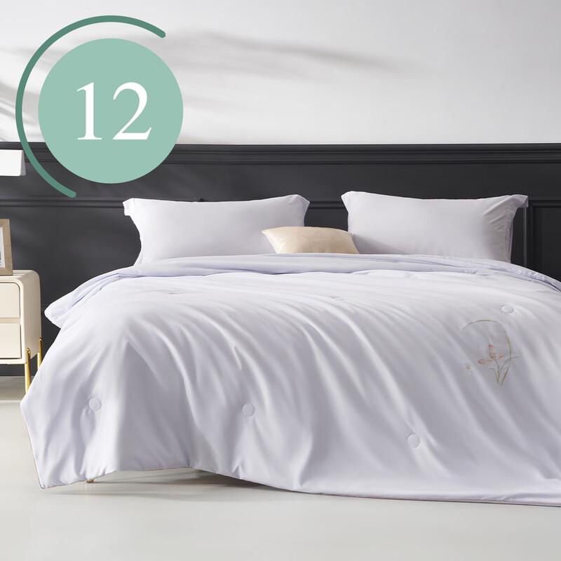 

Bailisi Ancient Charm Antibacterial Summer Quilt