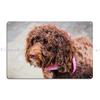 Lagotto Romagnolo Portrait Metal Sign Rusty Plaques Club Bar Wall Plaque Tin Sign Poster