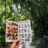 Fly Fisherman Advent Calendar Christmas Fishing Advent Calendar 24 Day Fly Fishing Advent Calendar With 24 Fishing Fly Hooks