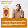 NAD+ - TMG, DNA Repair, Metabolism, Anti -aging, Focus Booster, Immune Support