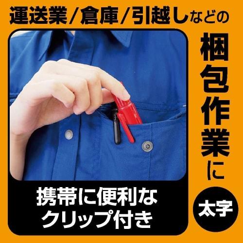 ZEBRA Permanent Marker Mackinnock Bold Red 3 Pieces P-YYSB6-R3-AZ