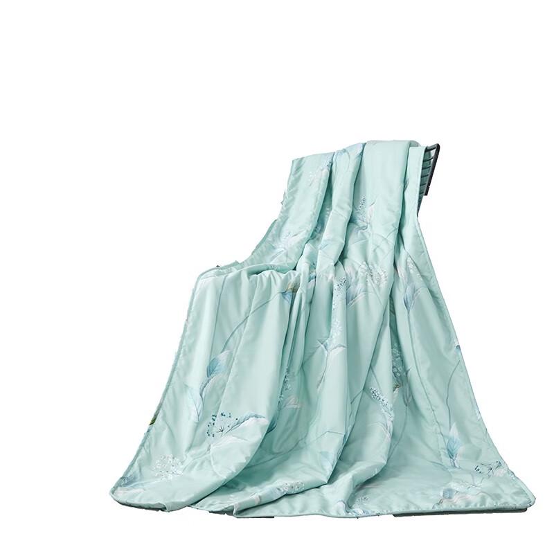 

Mengjie Home Textiles Twilight Mint Summer Quilt